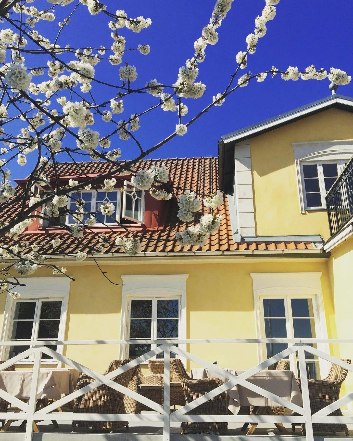 Kivikstrand Badhotell Dış mekan fotoğraf
